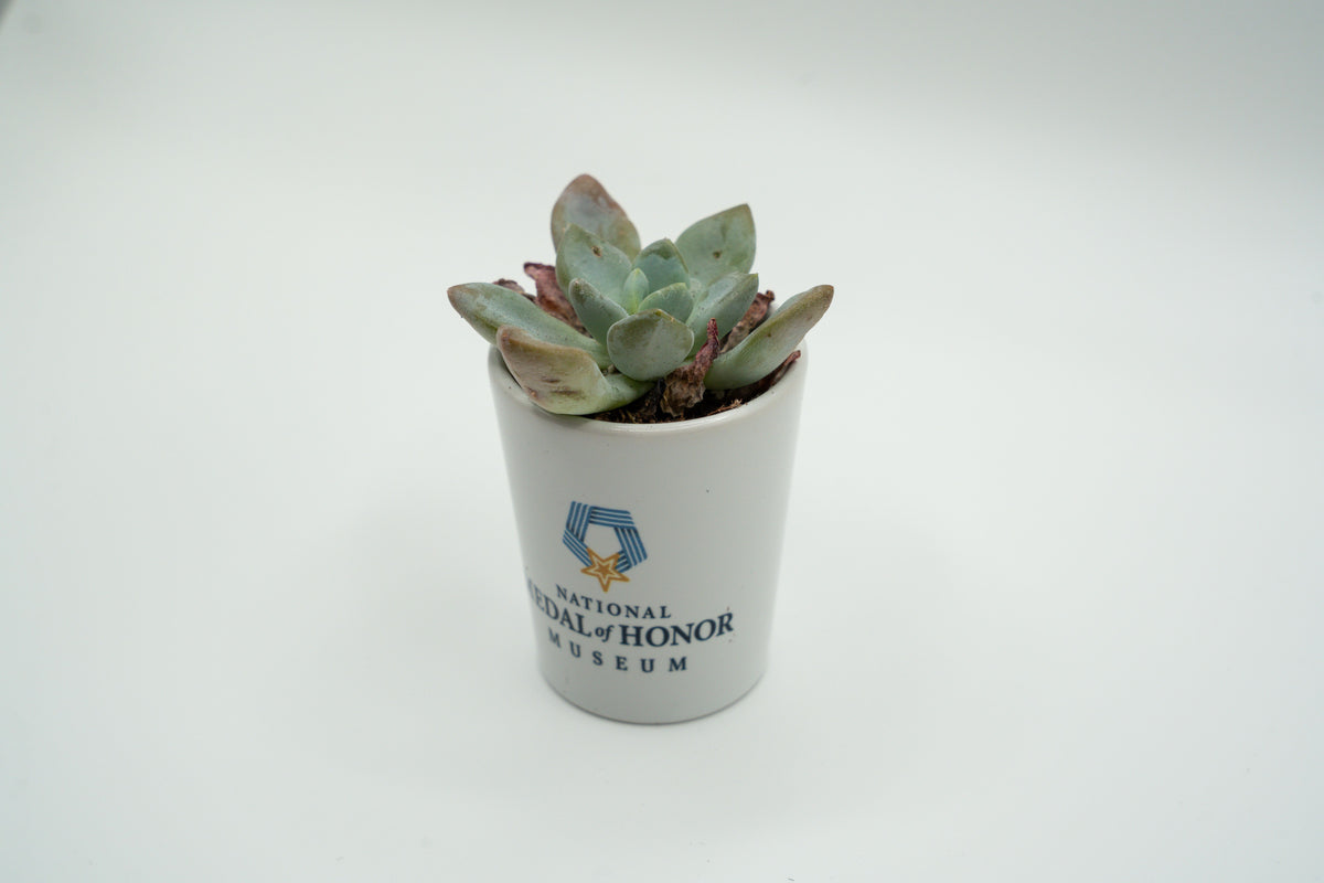 National Medal of Honor Museum Shot Glass