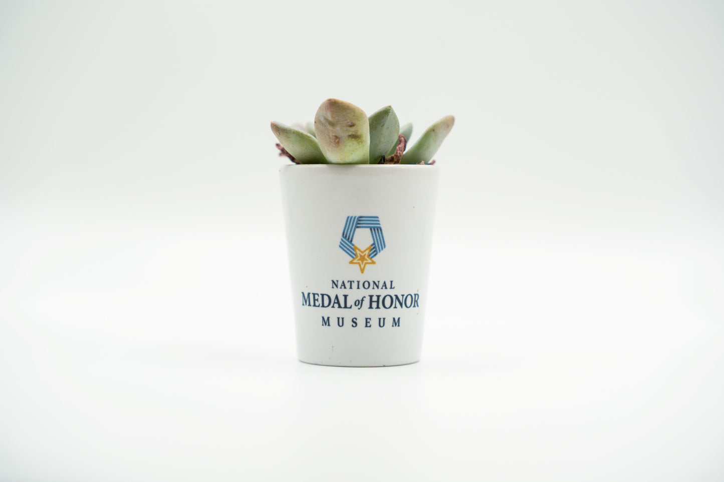 National Medal of Honor Museum Shot Glass