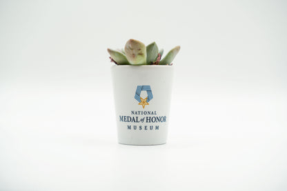 National Medal of Honor Museum Shot Glass