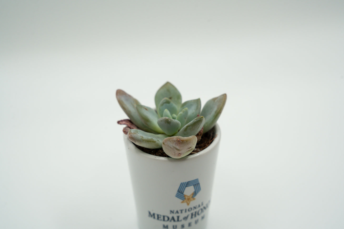 National Medal of Honor Museum Shot Glass