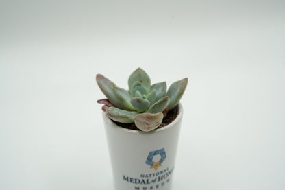 National Medal of Honor Museum Shot Glass