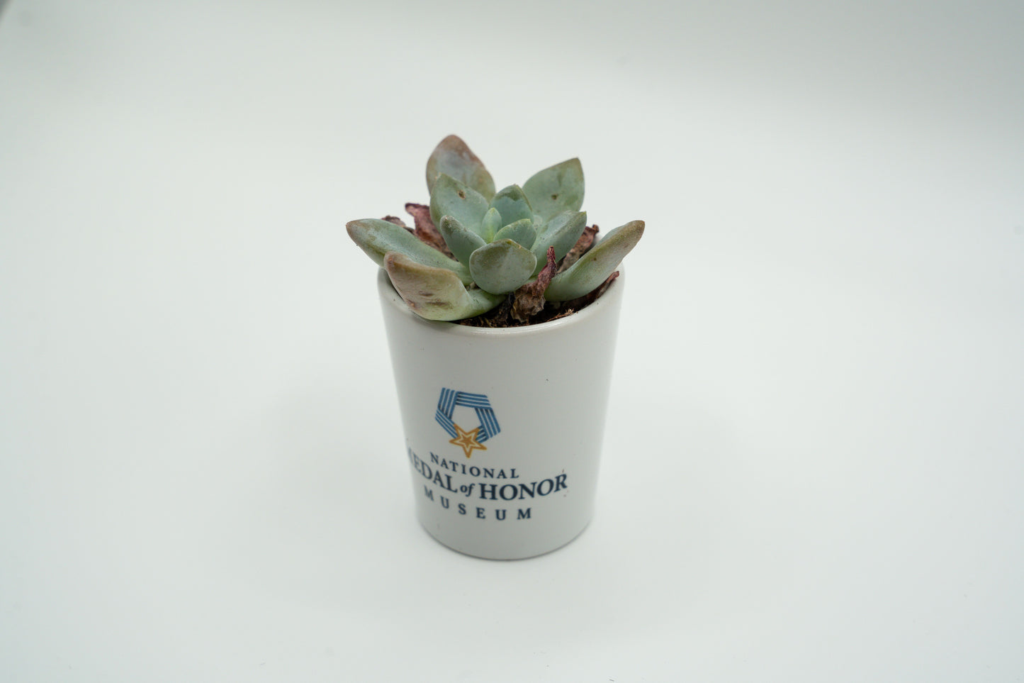 National Medal of Honor Museum Shot Glass