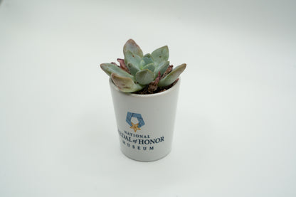 National Medal of Honor Museum Shot Glass